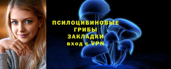 spice Магас