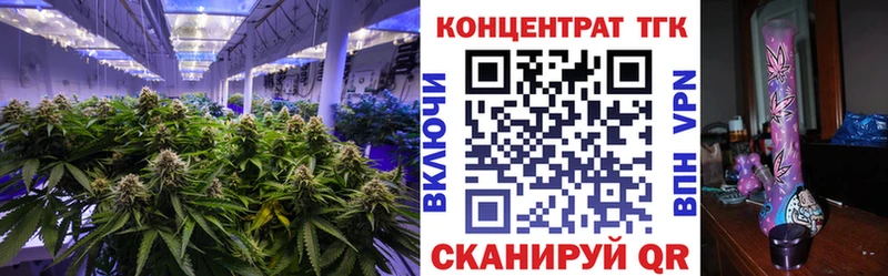 закладки  Вуктыл  Дистиллят ТГК Wax 